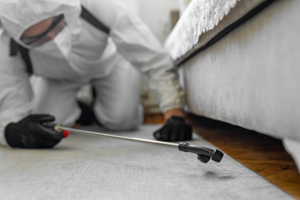 Professional Termite Control technician working in Mecca, CA