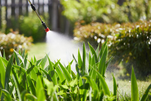 24/7 Emergency Termite Control experts in Mecca, CA